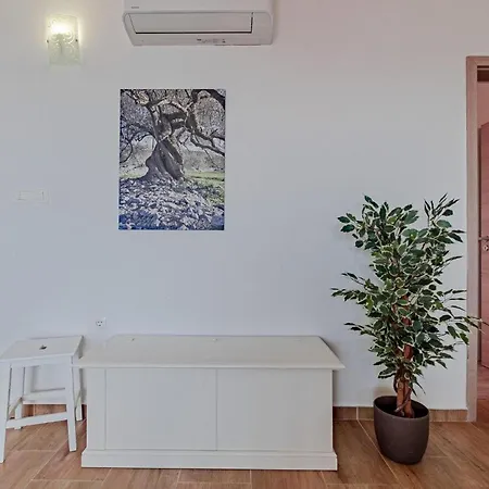 Three-bedroom In Nova Semesterbostad Vela Luka